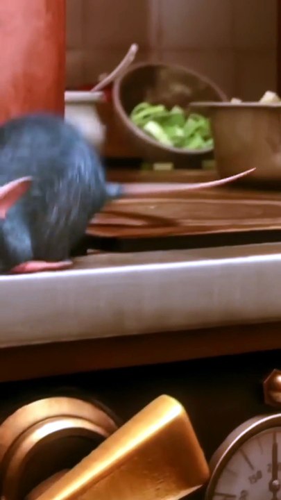 Ratatouille "Remy Cook Soup"