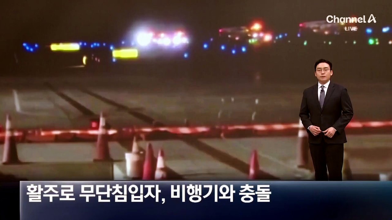 美 공항 활주로서 비행기와 무단침입자 충돌