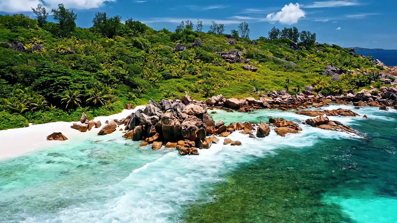 4K Ultra HD Dolby Vision 60fps - Nature HDR 4K Video for Sharp TV