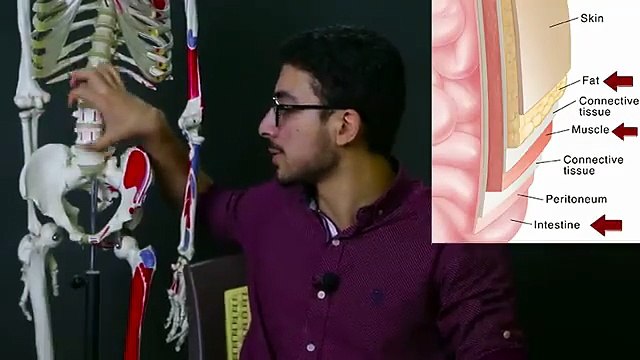 ليه تمرين البطن لوحده بيزود حجم البطن ويكبر الكرش ؟!