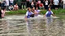 ​Ducking for Covers: The Hilarious Duck Chase!