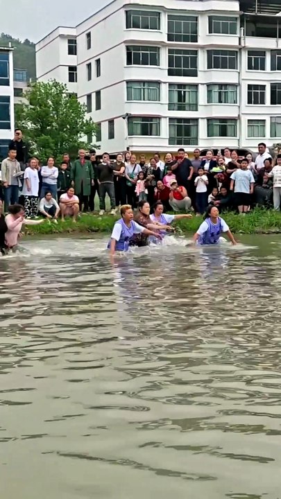 ​Ducking for Covers: The Hilarious Duck Chase!