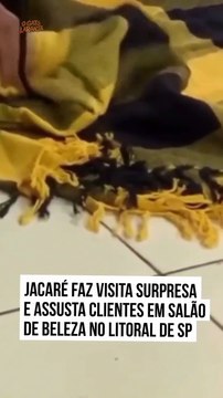 Jacaré invade salão de beleza e assusta clientes no litoral de SP
