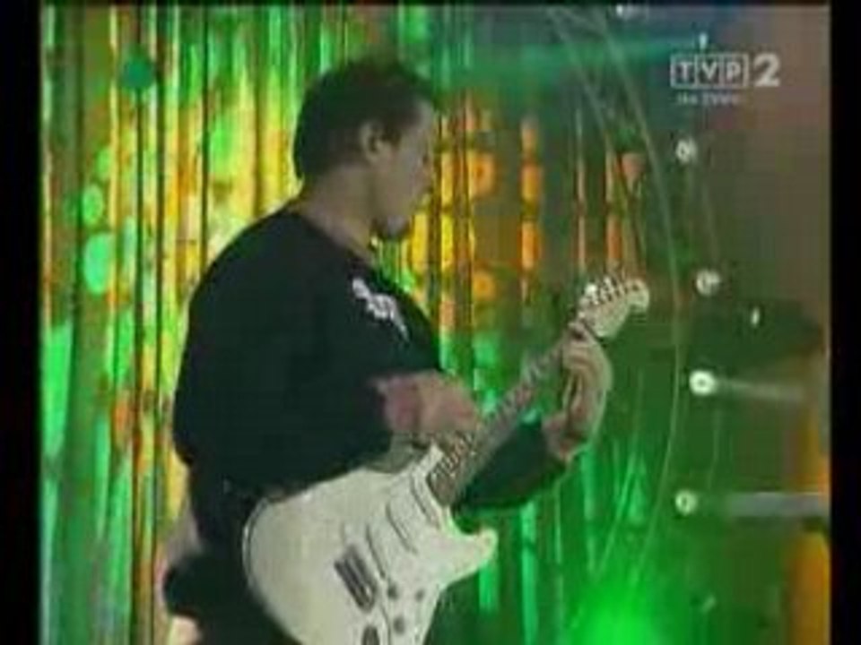 Gosia Andrzejewicz - Slowa