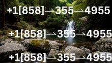 +1[858]⇀355⇀4955