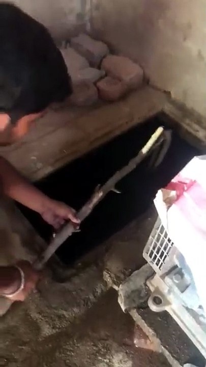 ग्वालियर में हजारों घरों में पानी सप्लाई करने वाली टंकी से मरा हुआ सांप