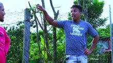 La Casa de Samuel 2  Terror  miedo