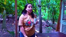 La Traidora