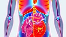 Your Body Boils At Exactly 37°