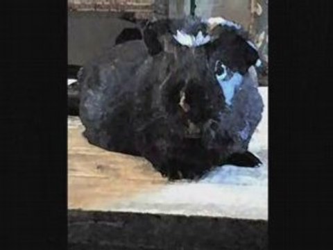 pr ma choupette hell é pa morte mai bon!!!lOol