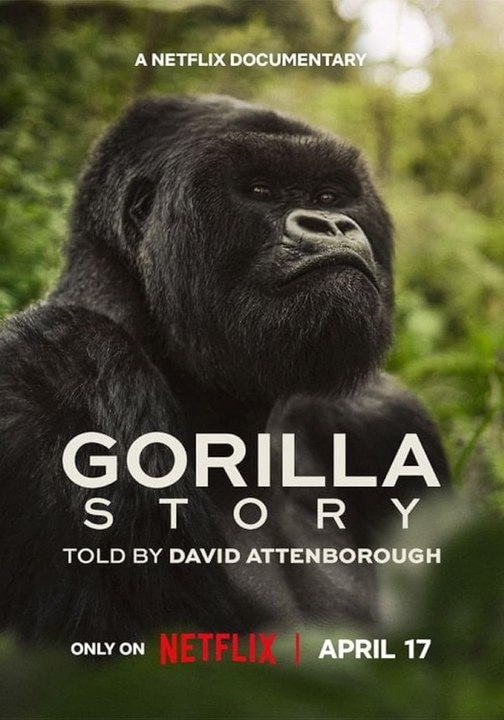 A Gorilla Story- Told by David Attenborough - BFlix