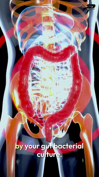 Discover the Power of Prebiotics & Probiotics with Dr. Sampath Srisailam_Protyze_  Diet Clear Protein
