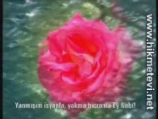 Dursun ali erzincanlı--inleyen bir nayım
