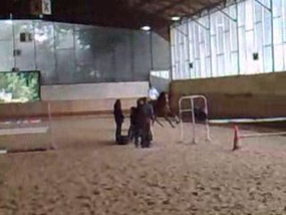 Célia et Noski