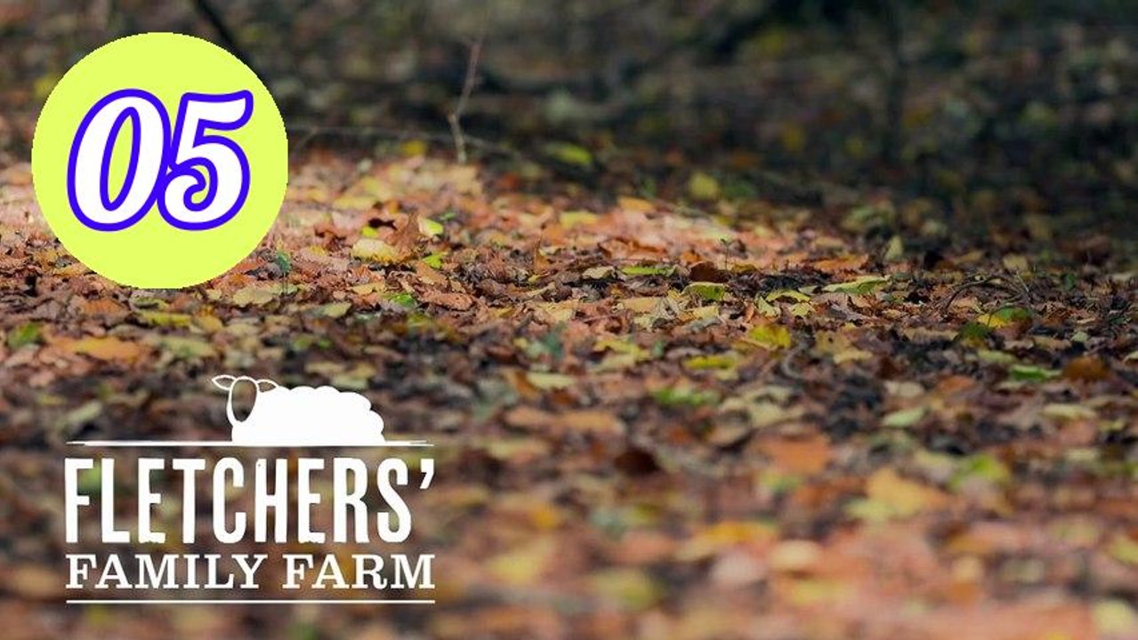fletchers family farm s04e05 Episode 5 Engsub