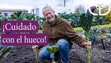 Detalles del espaciamiento para hortalizas | Charles Dowding