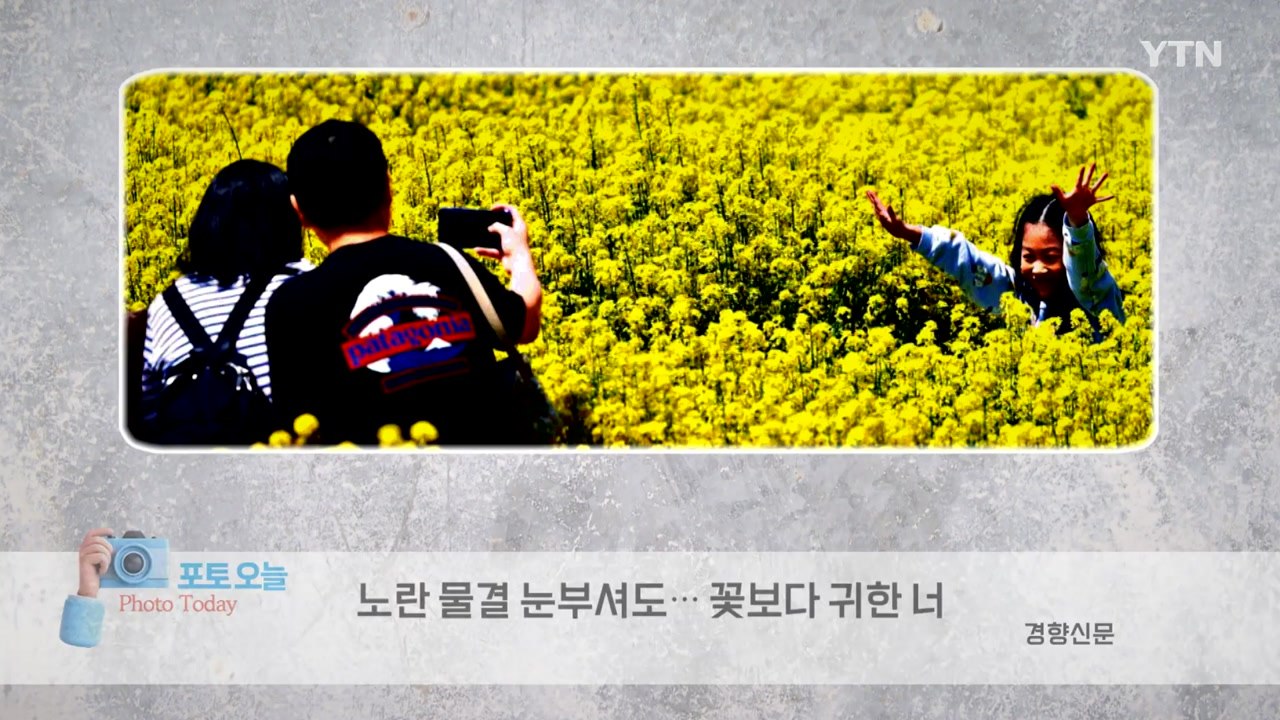 [포토오늘] 노란 물결 눈부셔도... 꽃보다 귀한 너  / YTN