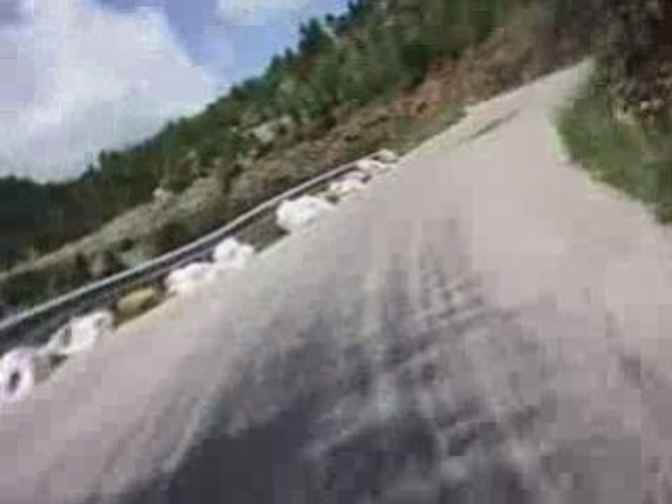 TREFLE LOZERIEN 2008