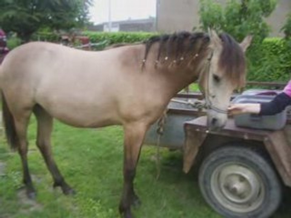 Ma ptiite surprise