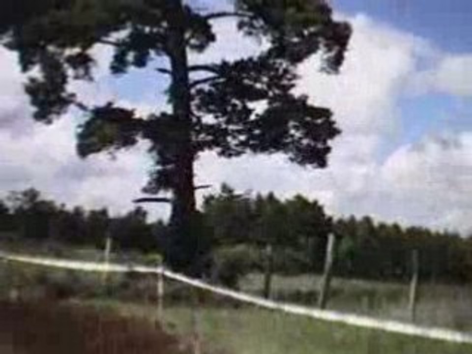 TREFLE LOZERIEN 2008