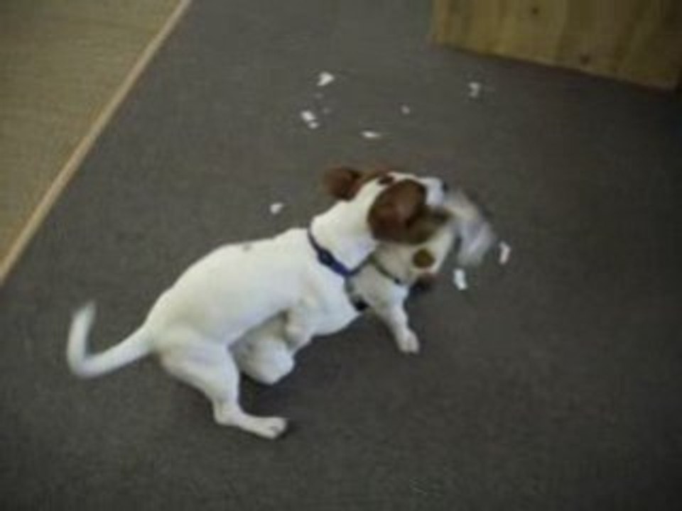 Chufi et Chiki 2