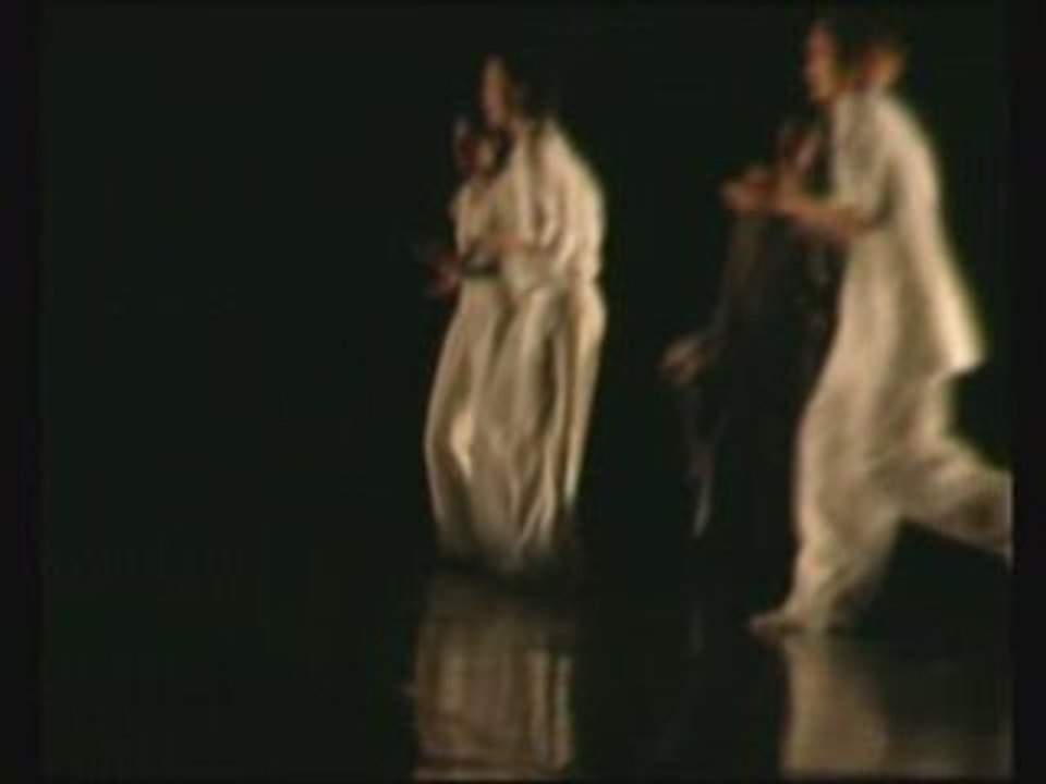 La capoeira à l 'espace Malraux