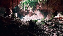 Large Fairy Rocky Cave with Green Plants