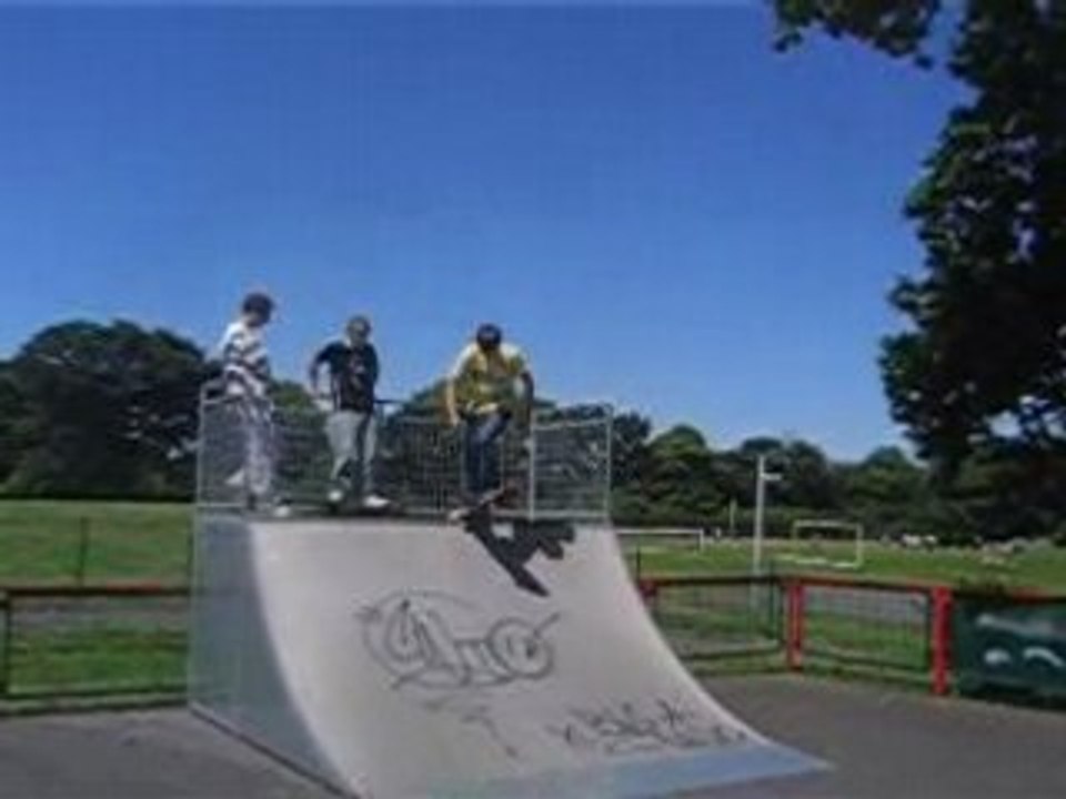 Skateur 4 fun (momo)