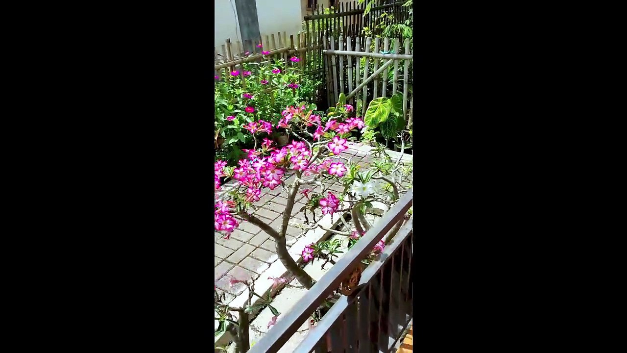 kegarut ziarah, mampir ke bandung ke nginap villa damar