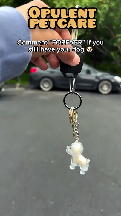 Dog Fur Storage Pendant – Preserve Your Beloved Dog's Fur Forever 🐾