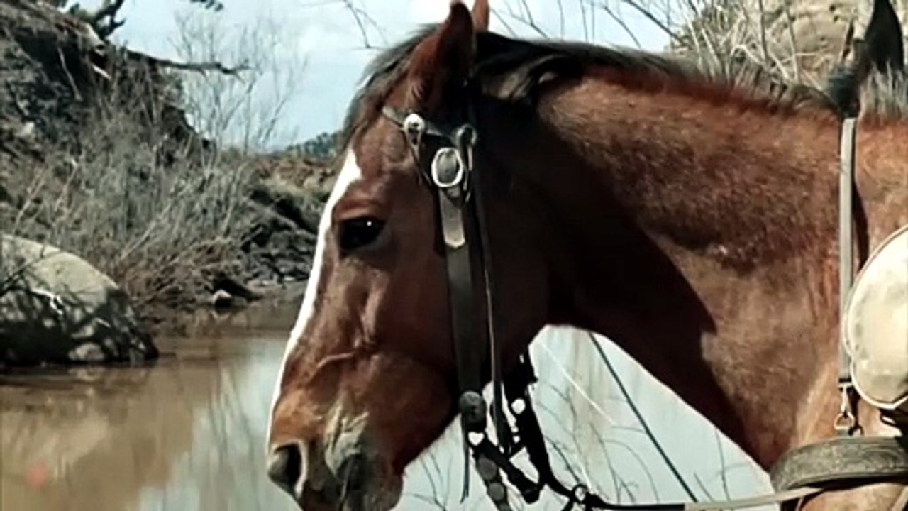 Shooting ou la mort tragique de Leland Drum  (1988) Vf