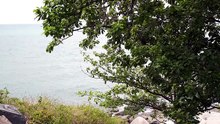 Nature Relaxation: Peaceful Scenery for Stress Relief