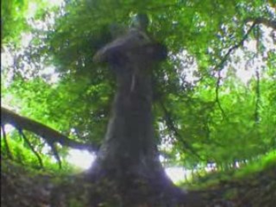Jrmy printemps 2008