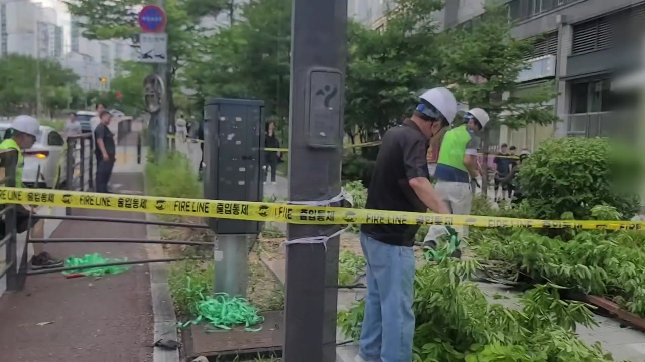 70대 몰던 벤츠, 난간·가로수 들이받고 인도 돌진 / YTN