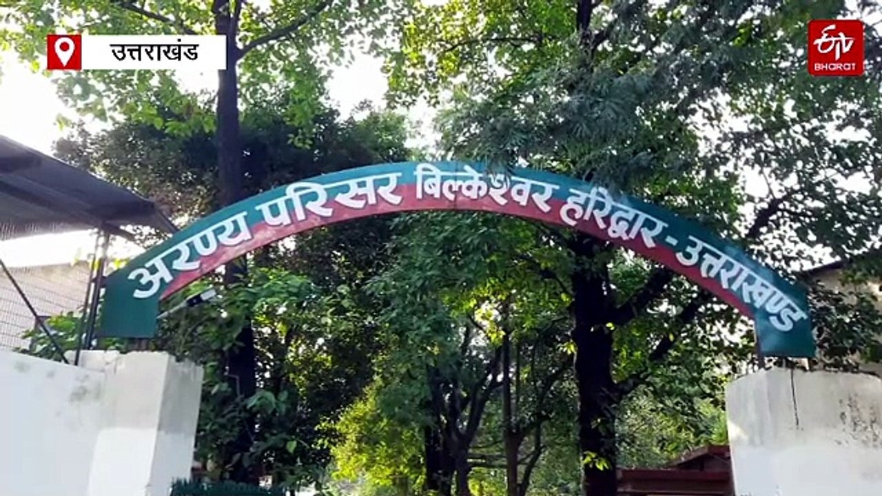 6 साल में 8 हजार से ज्यादा वन्यजीवों की घर वापस...