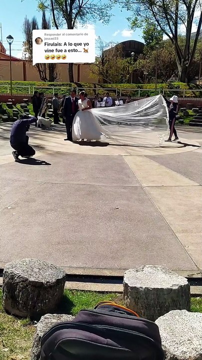 Un chien vole le voile de la mariée en plein shooting et s’enfuit en courant