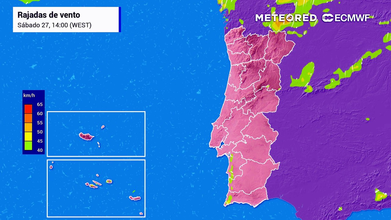 Adeus à chuva: o verão regressa este fim de semana e o calor volta a intensificar-se