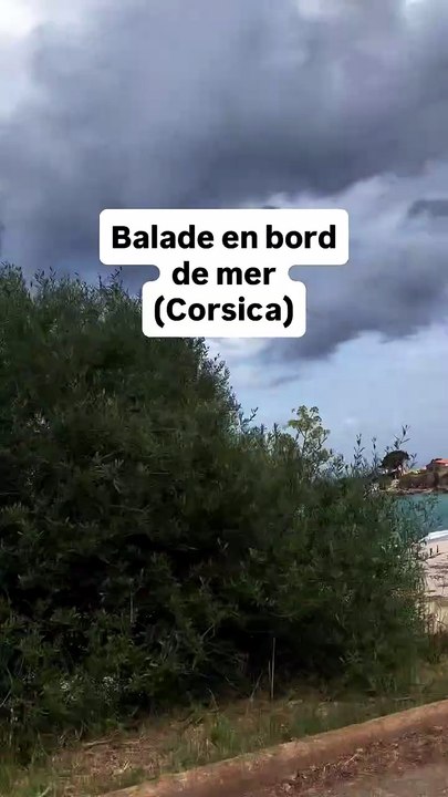 Balade en bord de mer (Corsica). Plage de Tarco. #waterfront.mp4
