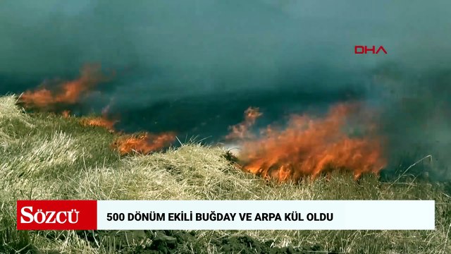 Aksaray’da yangında 500 dönüm ekili buğday ve arpa kül oldu