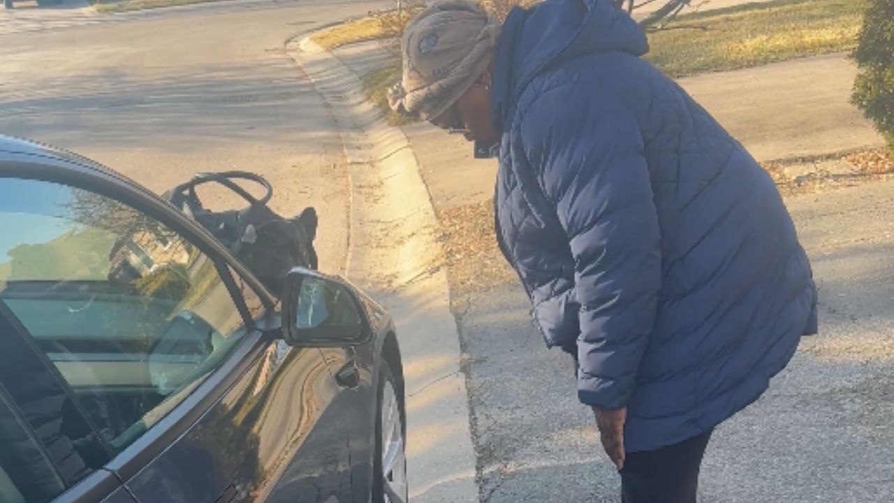 Grandma's first attempt at opening a Tesla door will leave you in splits!