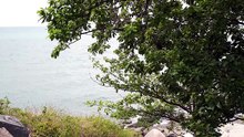 Soothing Nature Relaxation Video | Calming Scenery
