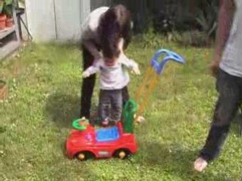 Jardin voiture tours