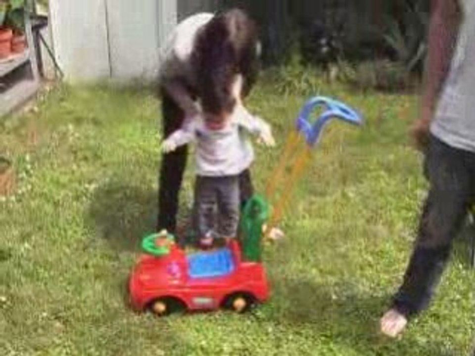 Jardin voiture tours