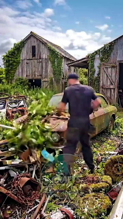 Barn Find Alfa Romeo Restored to Perfection! 🏎️ Stunning Classic Car Restoration