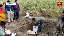 तुकाराम मुंढेंच्या धास्तीने सोलापूर हादरलं! लाखो रुपयांची भेसळयुक्त अजमेरी बर्फी केली नष्ट