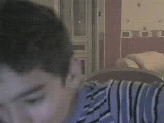 la famille des gros porc