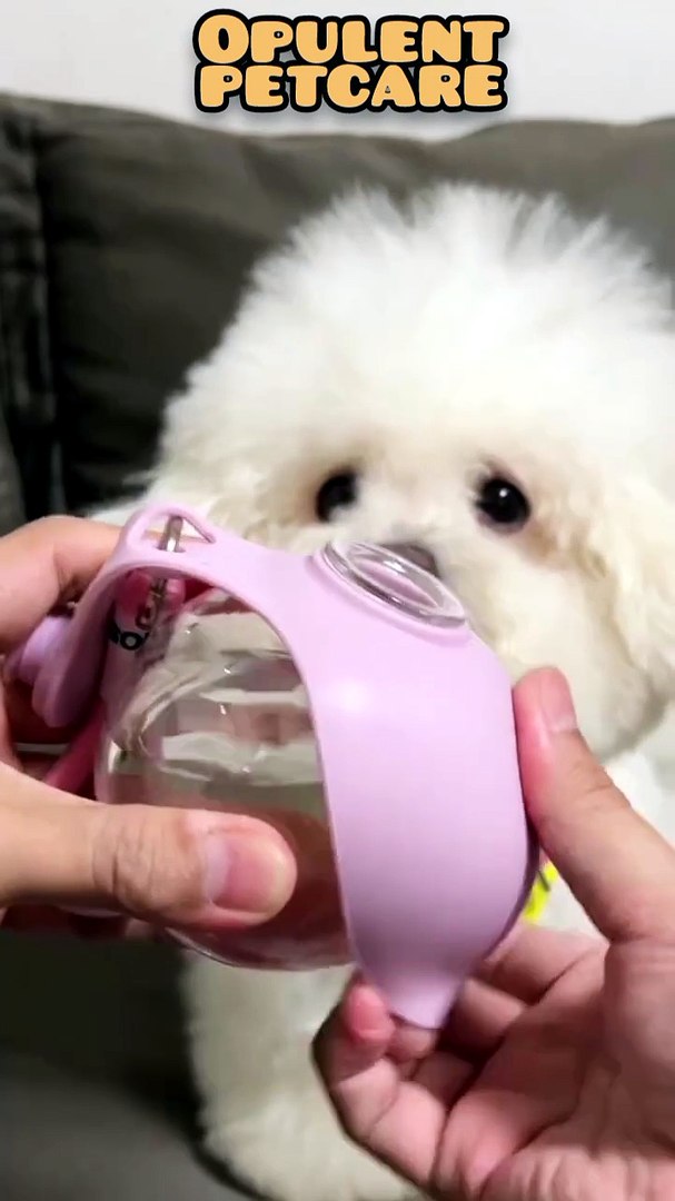 Portable Pet Water Bottle 10oz - video Dailymotion