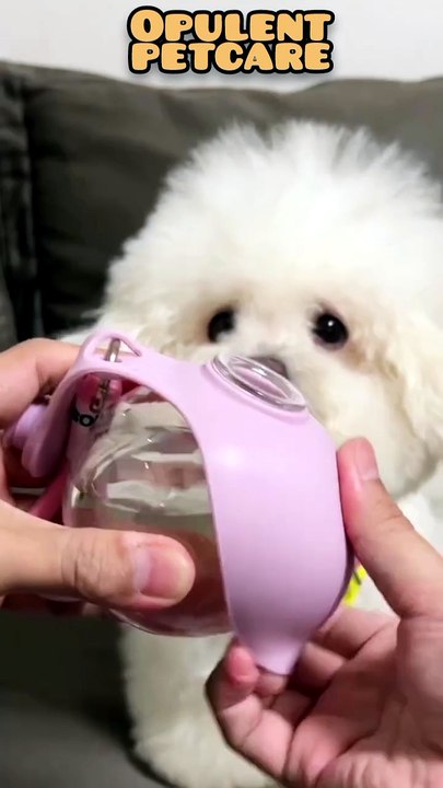 Portable Pet Water Bottle 10oz - video Dailymotion