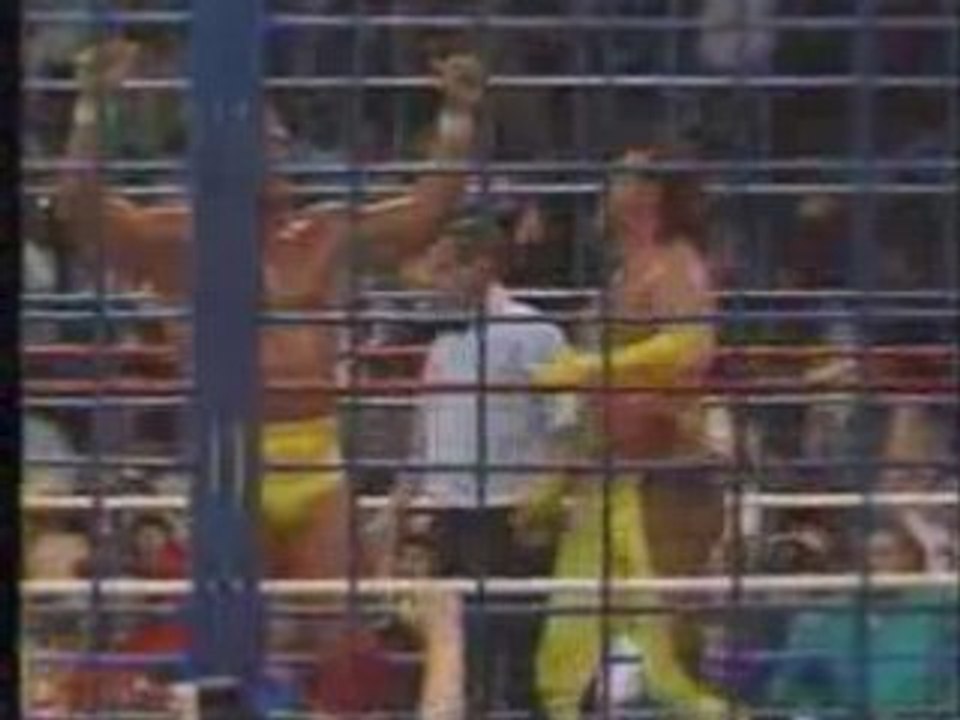 Steel cage match  hulk hogan+brutus v macho king+zeus part2