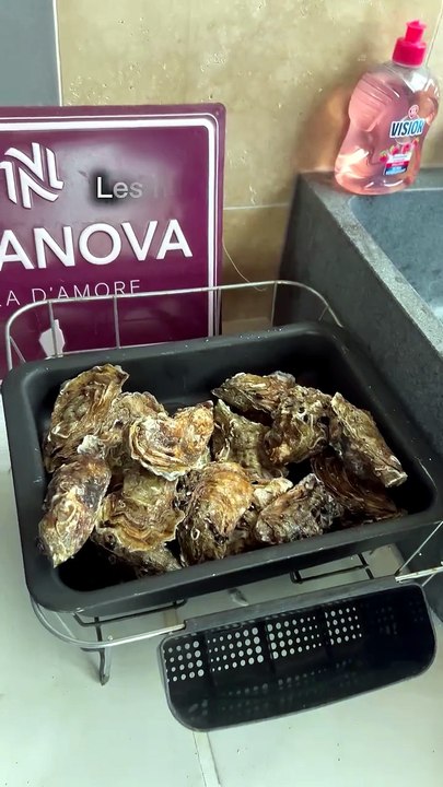 🦪 Les huîtres Corses du Producteur Pierre Pastre (Ile De Diana) #seafood #oysters #corsica #co.mp4